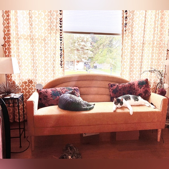 LIVE SHOW NOTIFICATION! - Picture 10 of 16